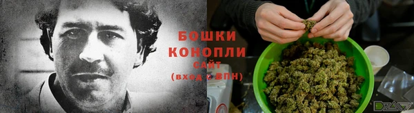 амф Нея