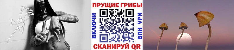 Псилоцибиновые грибы GOLDEN TEACHER  Струнино 